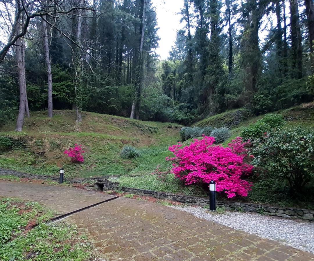 Il Bosco Di Campo Marzano Rooms & Apartments Borzonasca Buitenkant foto