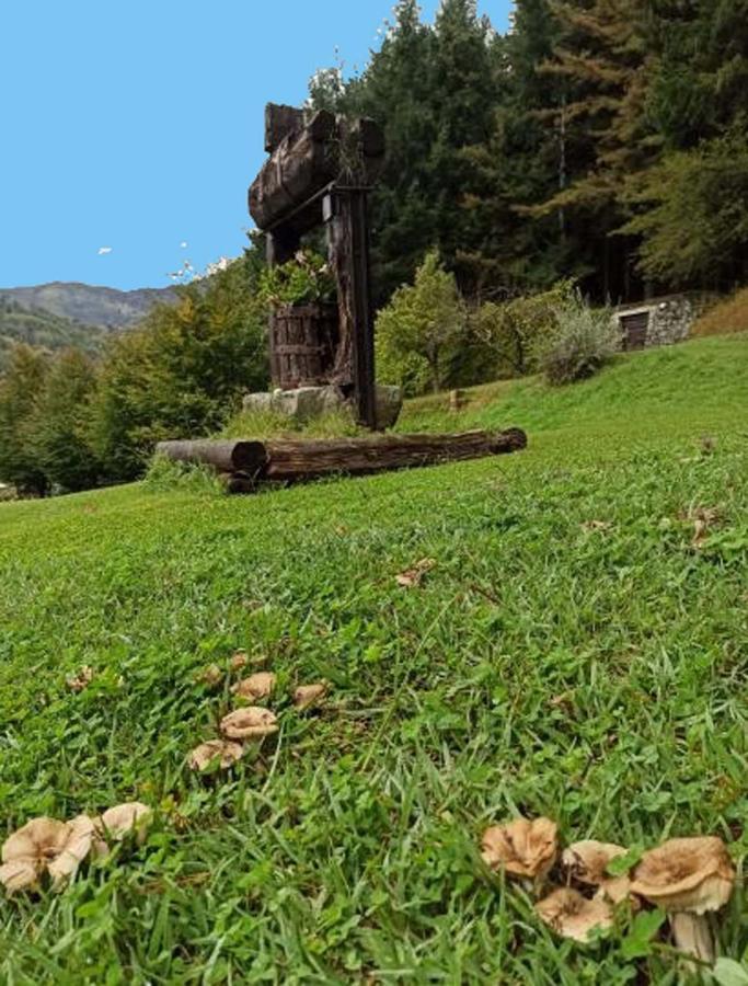 Il Bosco Di Campo Marzano Rooms & Apartments Borzonasca Buitenkant foto