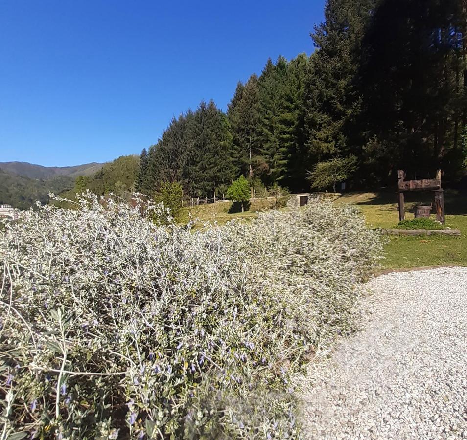 Il Bosco Di Campo Marzano Rooms & Apartments Borzonasca Buitenkant foto