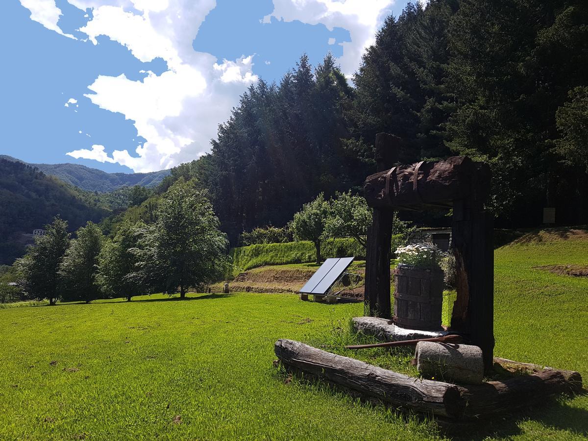 Il Bosco Di Campo Marzano Rooms & Apartments Borzonasca Buitenkant foto