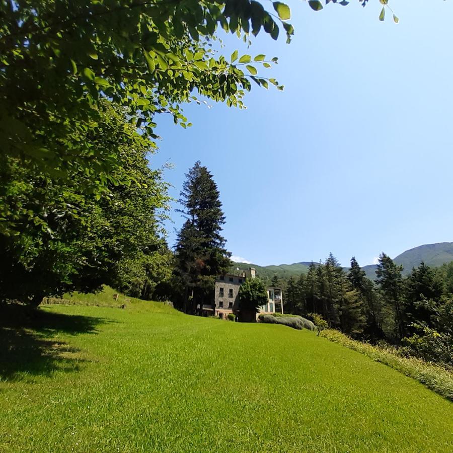 Il Bosco Di Campo Marzano Rooms & Apartments Borzonasca Buitenkant foto