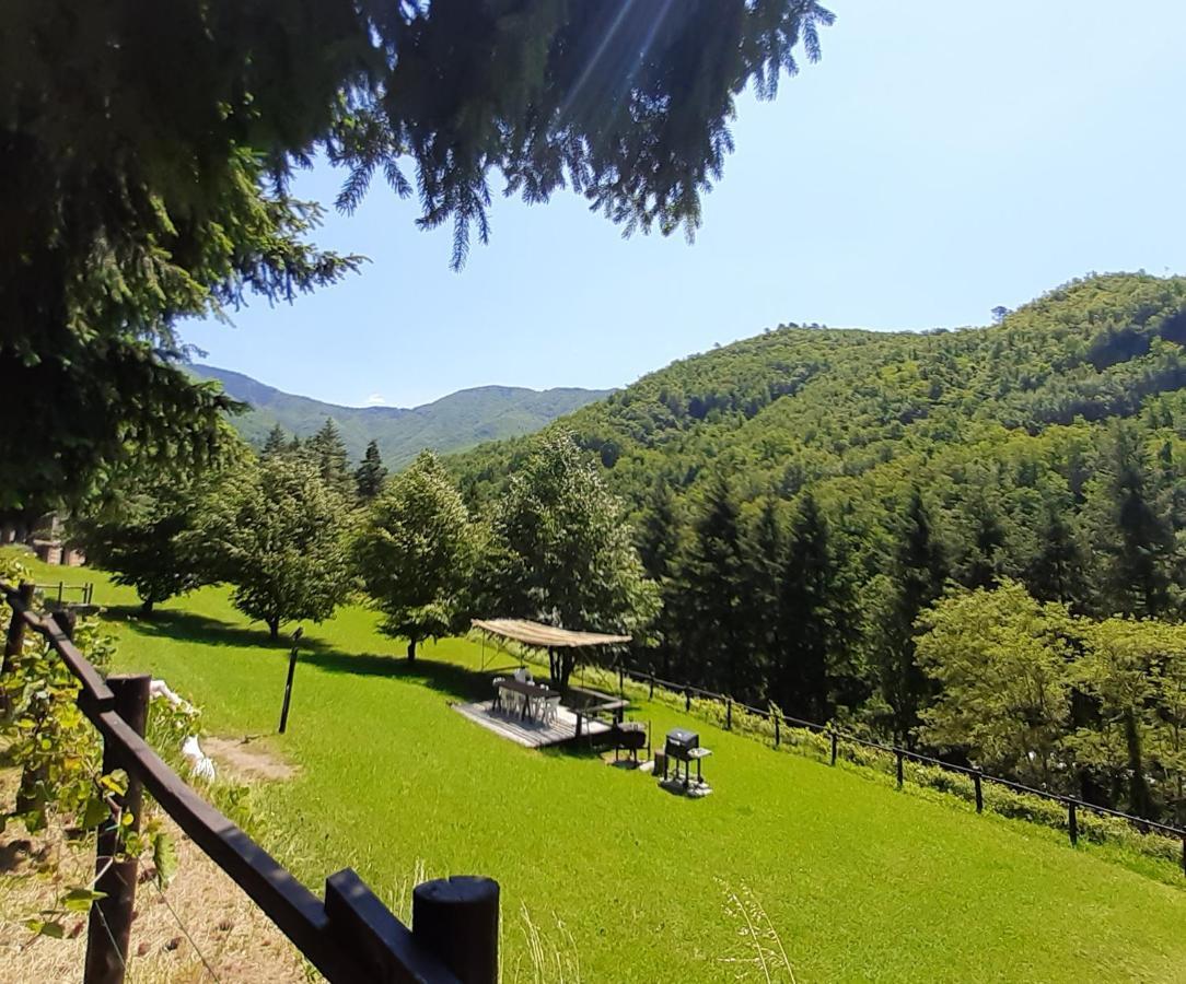 Il Bosco Di Campo Marzano Rooms & Apartments Borzonasca Buitenkant foto